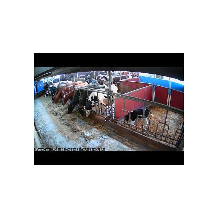 Kamera Farm Cam IP2 LUDA FARM