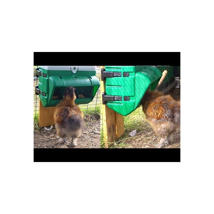 Recharge pour mangeoire Clever 