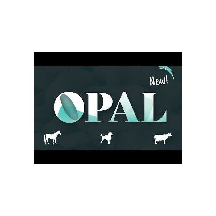 Saphir Opal clipper with 2 battery