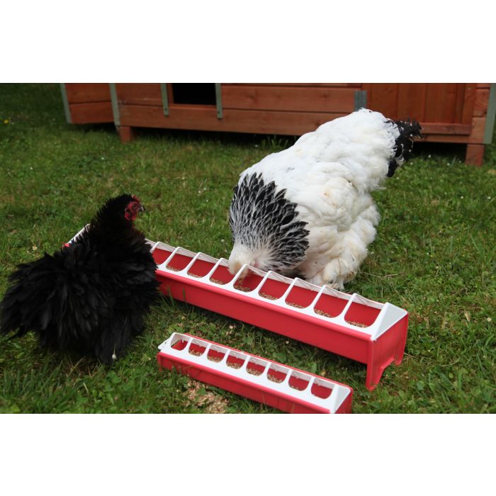 Mangeoire poussin 50 cm - rose