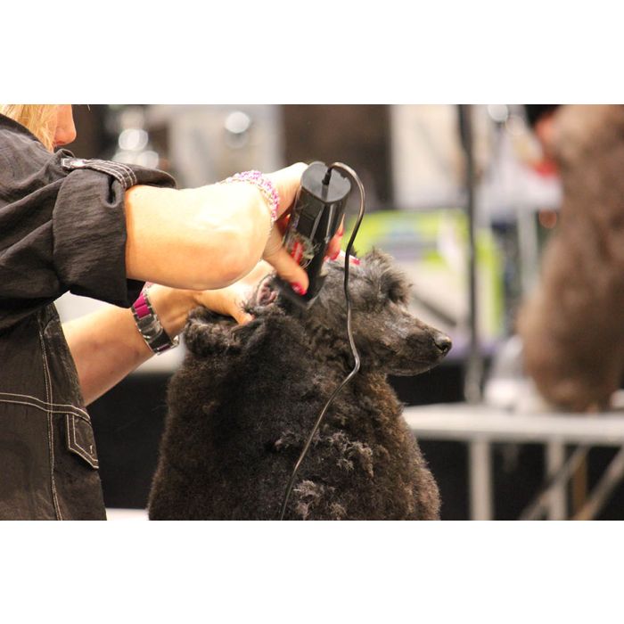 Heiniger Schermaschine Kabel 3M