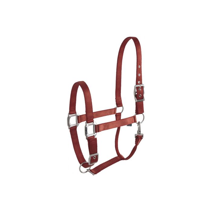 EQUITHÈME “Éclat” burgundy headcollar for horse