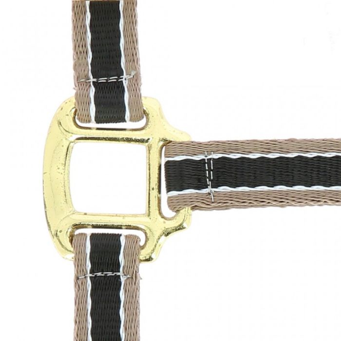 EQUITHÈME Polyfun black halter for thoroughbred