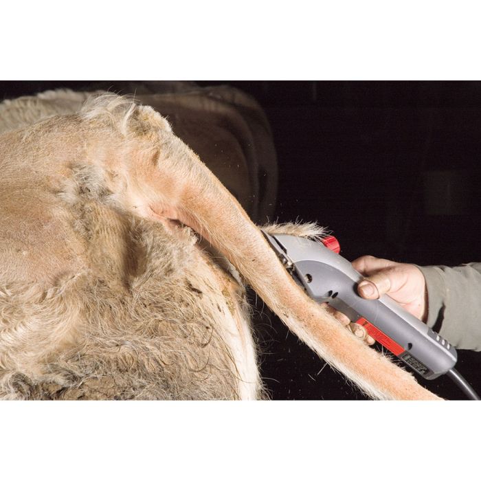 Electric cattle clipper DELTA 180w