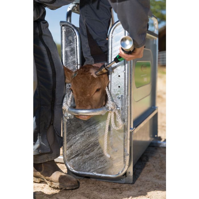 Arkos Enthorner Express