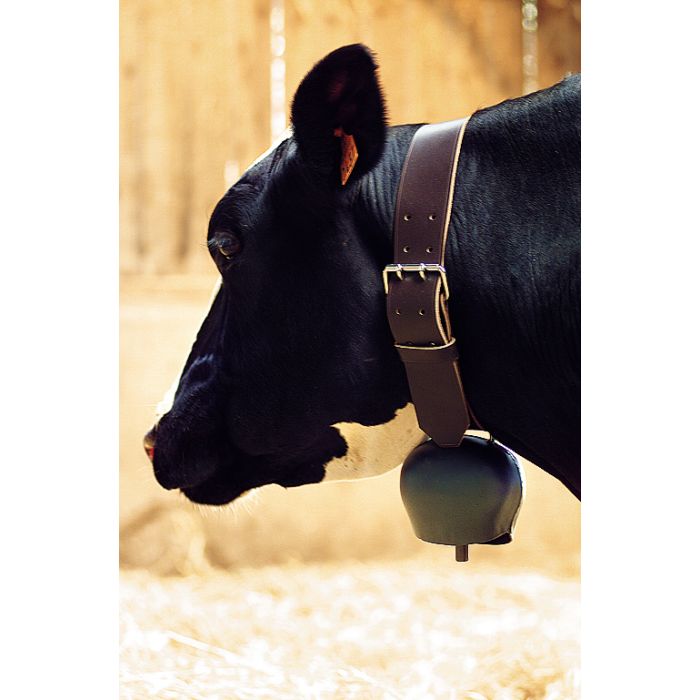 Black blue curved steel bell 144 mm