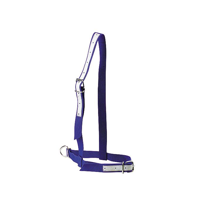 Nylon Kuhhalter Blau