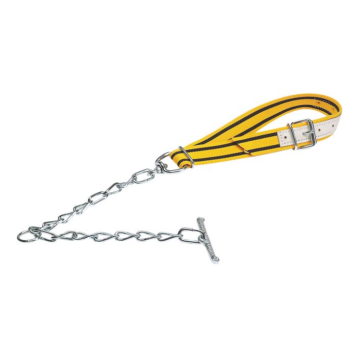 Nylon collar with attachment chain unpacked