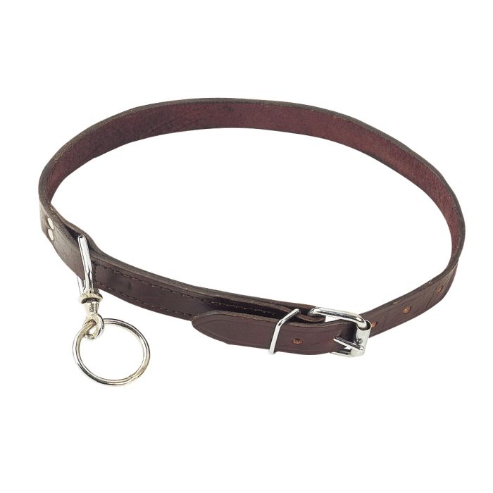 Leather calf collar with eye ring for calf unpacked