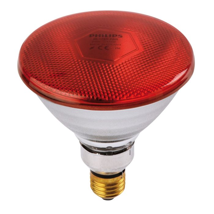 Philips Ir Lampe Par 175W Rot