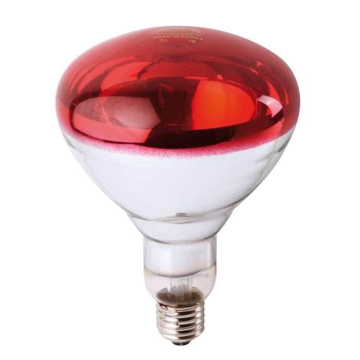 Ampoule PHILIPS IR à vis rouge 250W