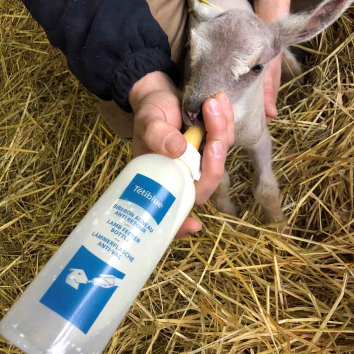 Biberon pour agneau 500 ml