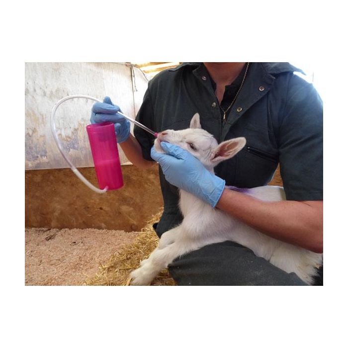 Ersatzrohr für den TrustiTuber für Lamm ANTAHI